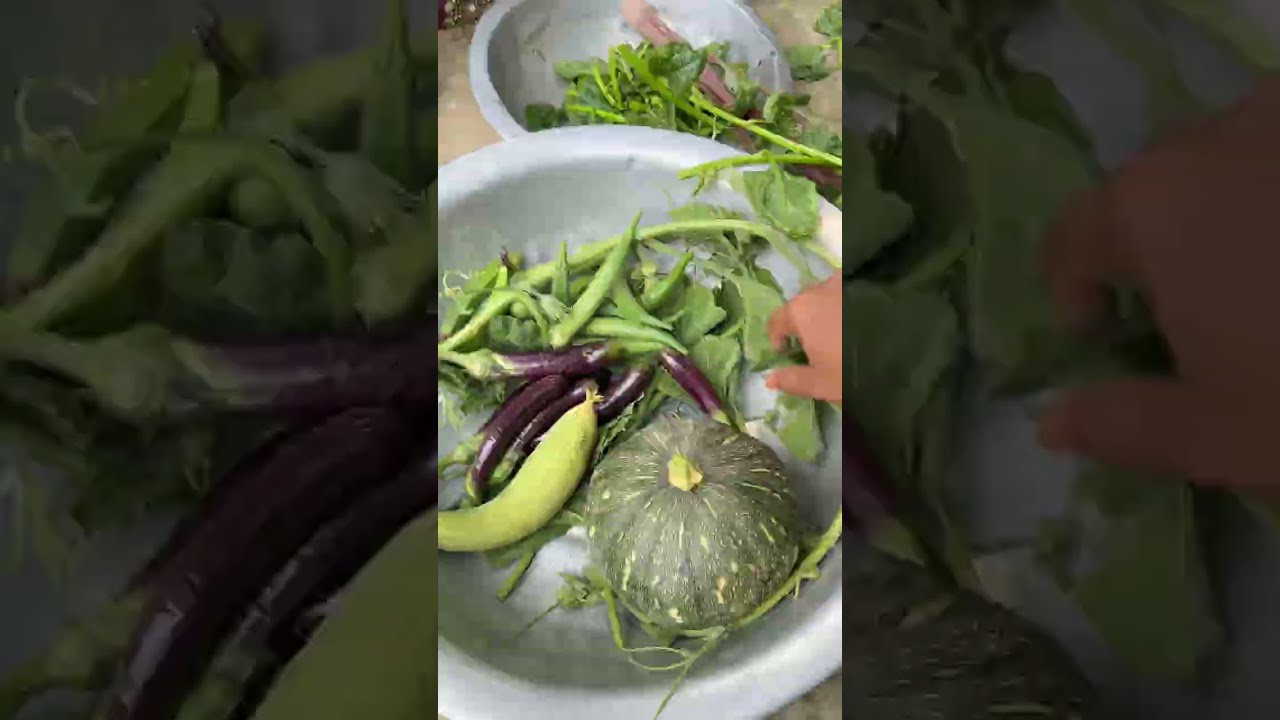 আমার গ্রামীণ মায়ের হাতের ,মজাদার সবজি রান্না।