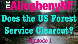 Allegheny Forest Briefing - Episode 1: Does the US Forest Service Clearcut?