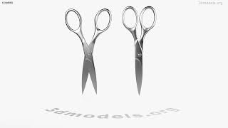 Standard Scissors 3D model by 3DModels.org