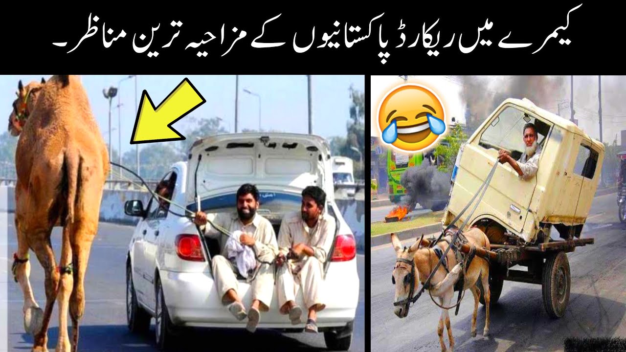 Funny Pakistani peoples moments part 51   funny moments of pakistani people