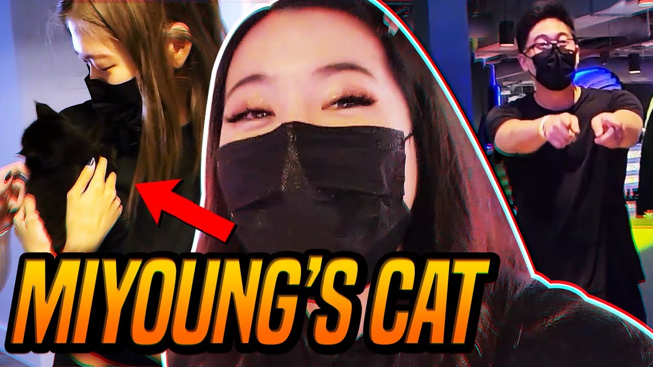 MIYOUNG'S NEW KITTEN & PETER'S BIRTHDAY DINNER! ft. OfflineTV and Ryan Higa