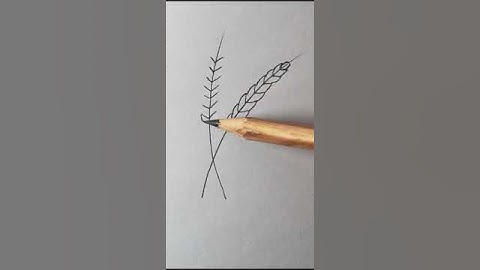 How To draw Rice flour trees drawing #shorts #rice #flower#tree #easy #method