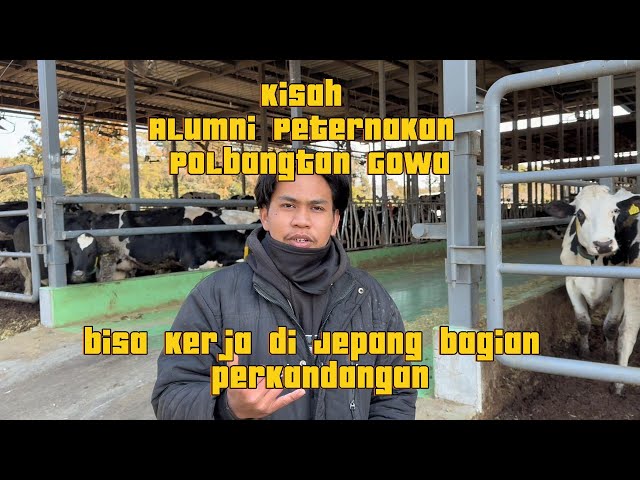 Kisah Ihsan Kamal Alumni Peternakan Polbangtan Gowa Yang Bekerja di Jepang