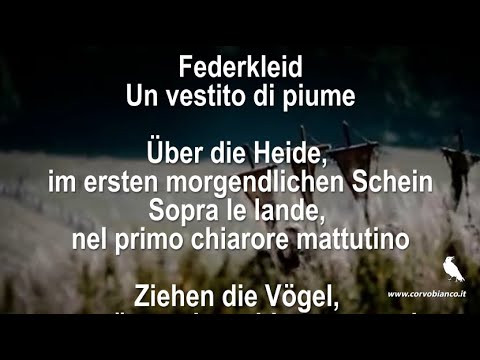 Federkleid - Faun - Testo lyric e traduzione italiana - 001 tedesco corvo bianco