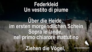 Federkleid - Faun - Testo lyric e traduzione italiana - 001 tedesco corvo bianco