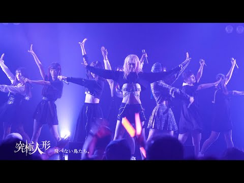 究極人形 - 飛べない鳥たち。【LIVE SPOT】 - YouTube