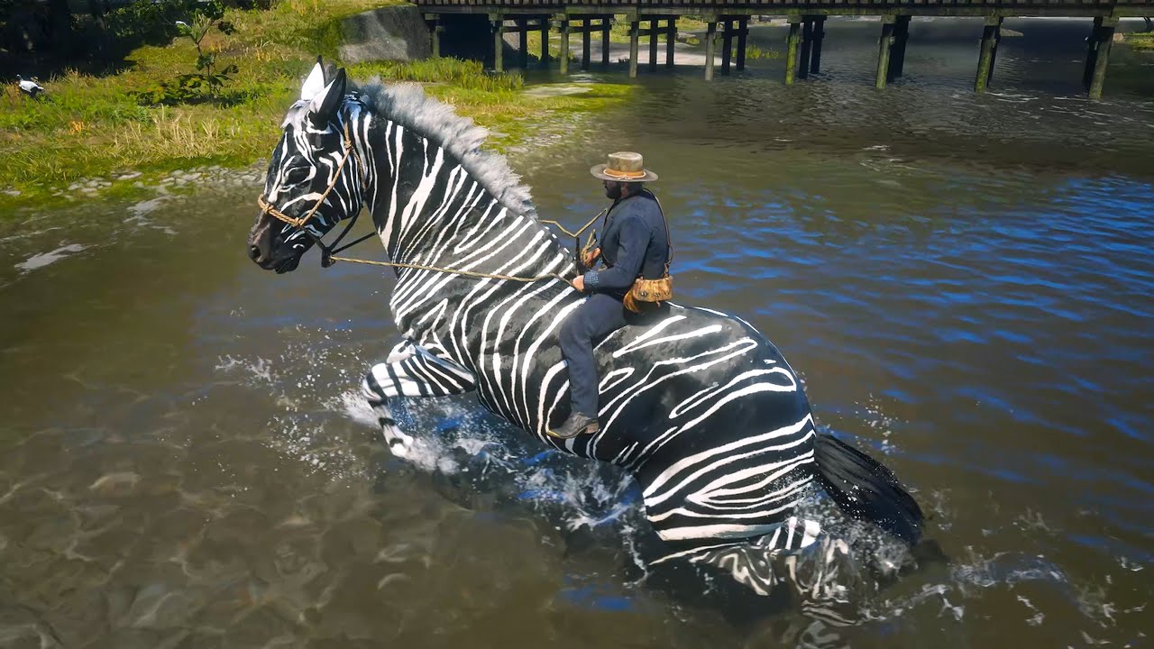 The Mysterious Zebra | Arthur Morgan's Hilltop Discovery And Tamed By Arthur Morgan
