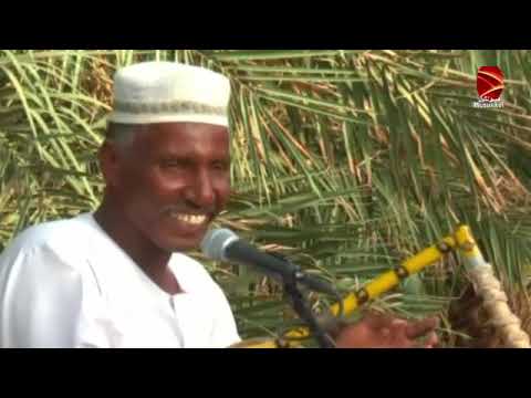 ودى للناس فى البلد الفنان النور محمد نور الدائم اغانى طمبور 2022