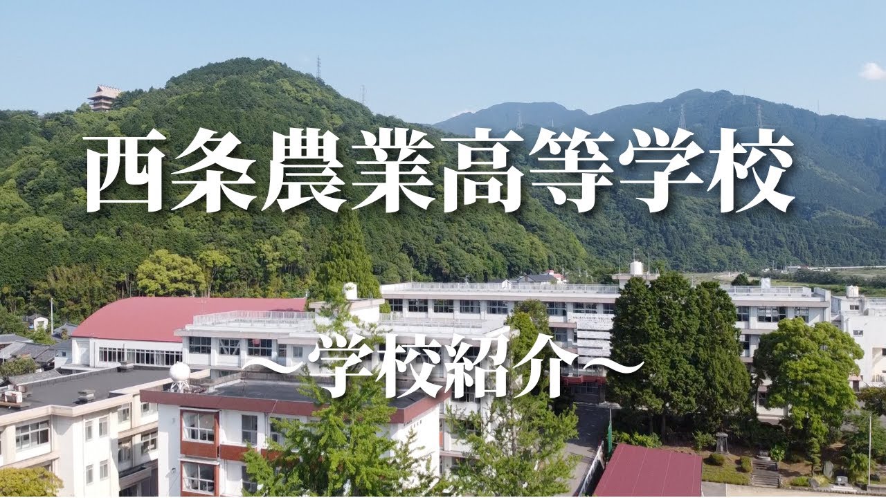 西 農