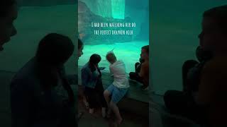 Learning from the source - Dolphin Kick!!! #clearwater #aquarium #swimming #dolphin #shorts
