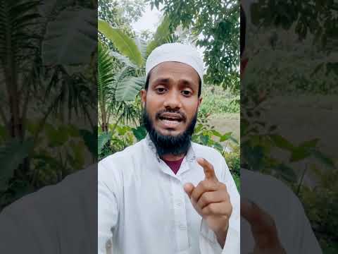 📖 "কুরআন পাঠ করো, কেননা কিয়ামতের দিন তা তার পাঠকের জন্য সুপারিশ করবে।" — সহীহ মুসলিম