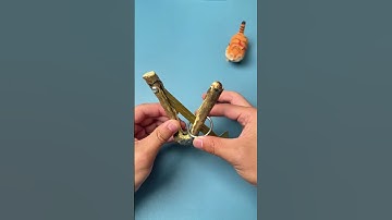 How can you remove this ring from the arrow?#puzzle#iq#iqtest