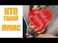 ПОДМЕННЫЙ АВТОМОБИЛЬ // НОВАЯ ПЯТЕРОЧКА // КТО ТАКОЙ ЛУКАС???