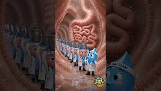 💧 Amazing Water Journey Inside Human Body | 3D Animation | Doctor Raj
