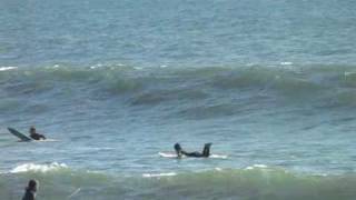 Surfing_20101024_1.avi