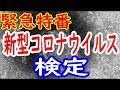 新型コロナウイルス検定/New Coronavirus