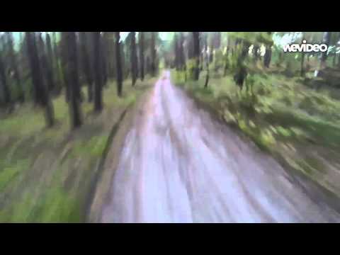 Bear Attack (Go Pro Footage)