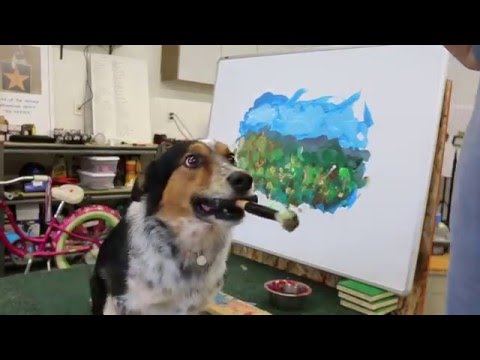 Jumpy dog art !