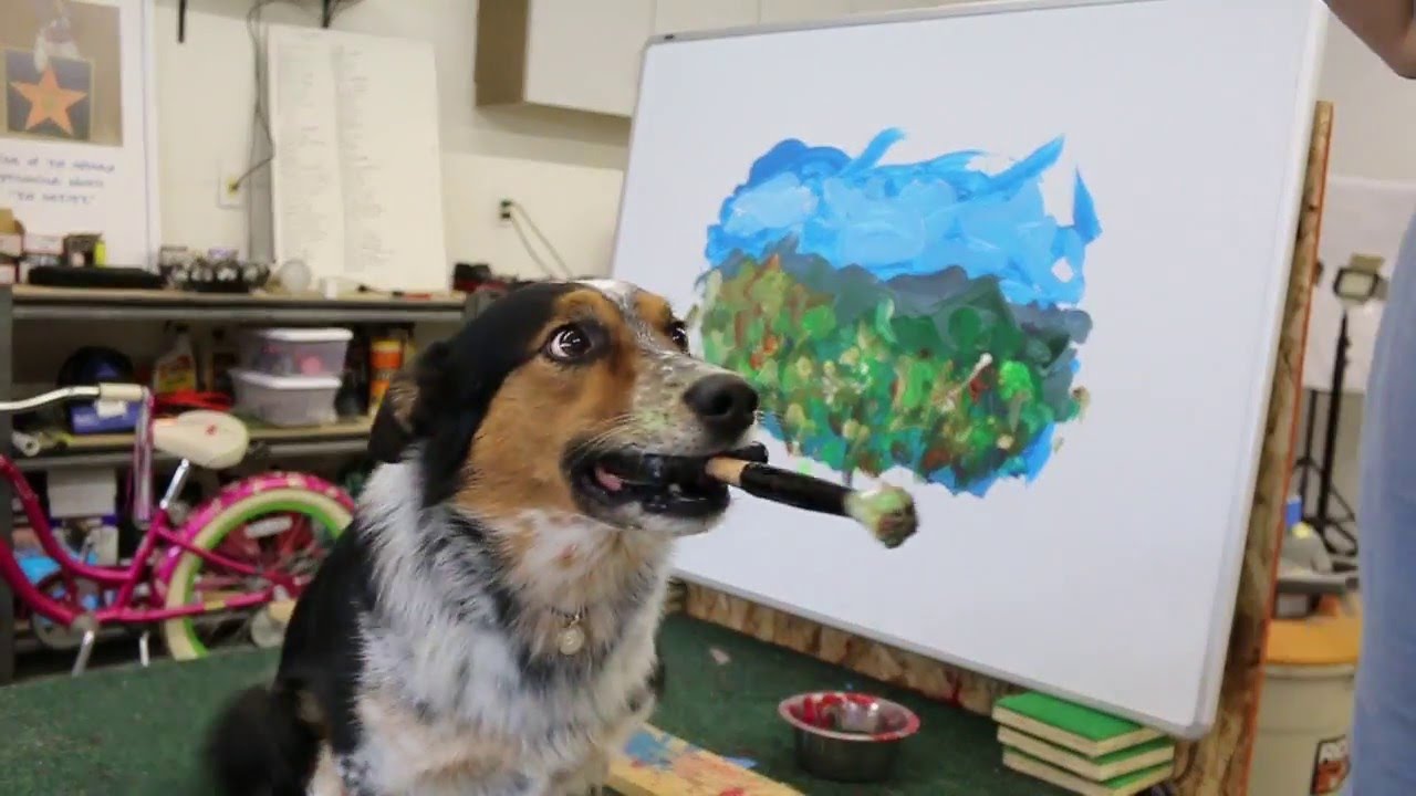 Can A Dog Be Trained To Paint?