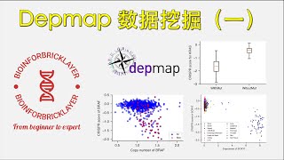 【生信进阶之路｜资源篇02】Depmap 数据库挖掘（一）