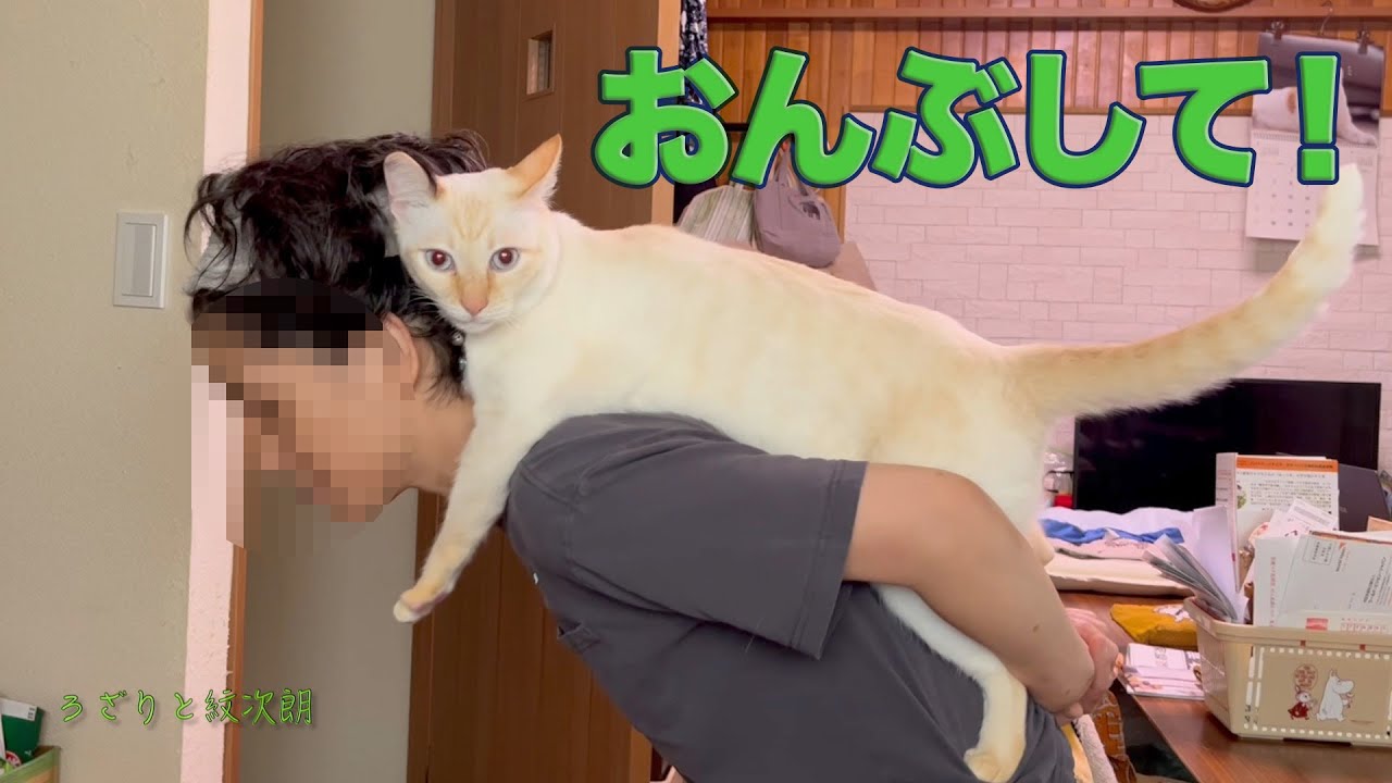 甘えたいときは、ジャンプして抱っこかおんぶ。　ろざりと紋次朗の日常#28