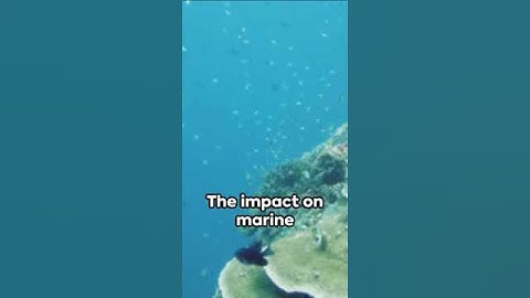 Cyanide: The Silent Killer in the South China Sea