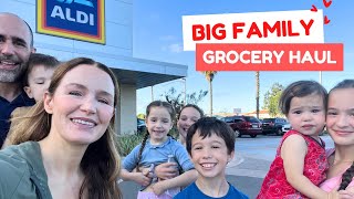Big Family Aldi Haul!