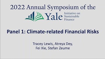 2022 YISF Annual Symposium: Panel 1 on Climate Risks (partial recording)