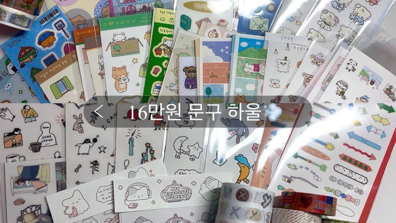 2025년 첫 하울( ⸝⸝⸝ᵔᵔ⸝⸝⸝ )ꢭ/문구하울/다꾸스티커/asmr/하울