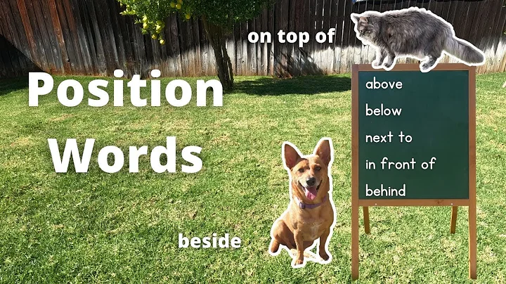 Professor Ginger and Axle teach Position Words   4K