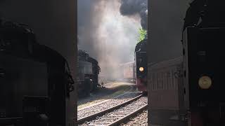 Doppelausfahrt in Eisfelder Talmühle im Jahr 2026 #train #harz #harzerschmalspurbahn #dampfloks Doppelausfahrt in Eisfelder Talmühle im Jahr 2026 #train #harz #harzerschmalspurbahn #dampfloks