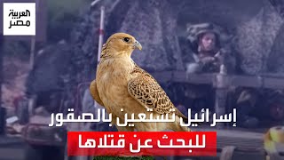 خوفًا من نيران الفصائل الفلسطينية.. إسرائيل تستعين بالصقور للبحث عن جثث قتلاها في هجوم ٧ أكتوبر