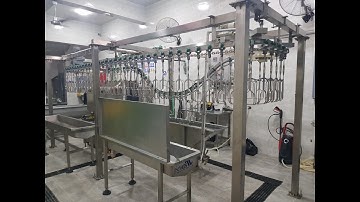 Chicken Slaughtering Line 300 Birds/Hour | مسلخ دواجن اقتصادي 300 طائر في الساعة – للمساحات الصغيرة