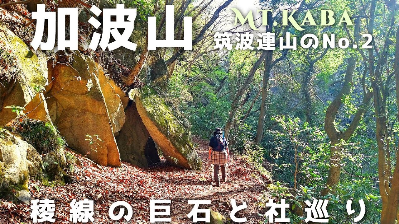 空山の額　〜貝殻で岩に立つ虎を表現している。値下げ交渉してください。 宇連の岩クラ（愛知県北設楽郡設楽町） | 石神・磐座・磐境
