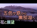 五色ヶ原~黒部湖縦走。花と展望の天空の縦走路。