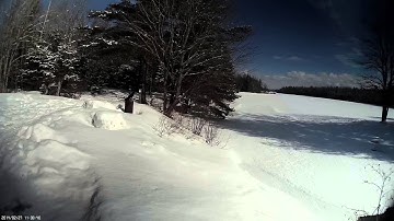 Mobius with DIY polarizer filter