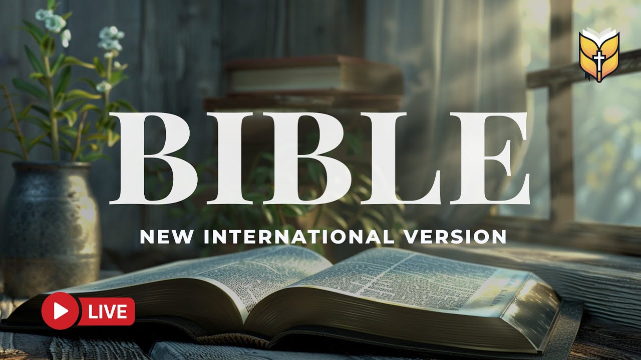 Holy Bible NIV – Words of Faith, Prayer, and Eternal Light 🔴 BibleVision LIVE