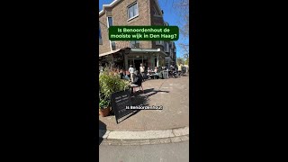Is dit de MOOISTE WIJK in DEN HAAG? 🏡
