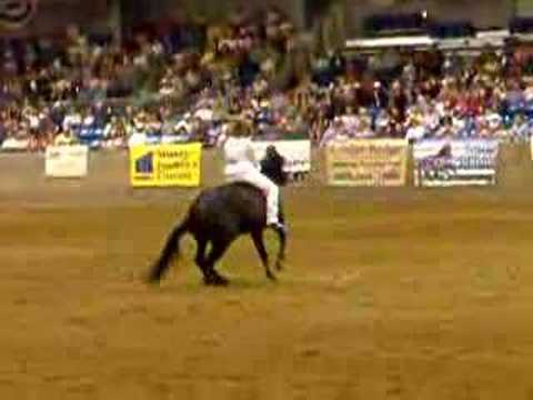 Stacy Westfall Freestyle Reining