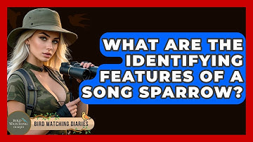 What Are The Identifying Features Of A Song Sparrow? - Bird Watching Diaries