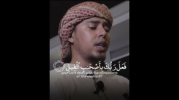 سورة الفيل بصوت جميل