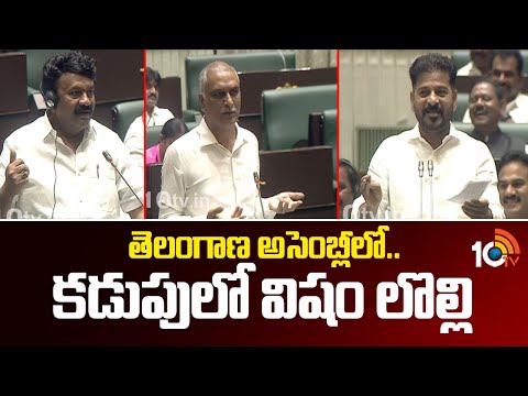 CM Revanth Comments Vs BRS MLA's In Assembly | తెలంగాణ అసెంబ్లీలో..కడుపులో విషం లొల్లి | 10TV - 10TVNEWSTELUGU