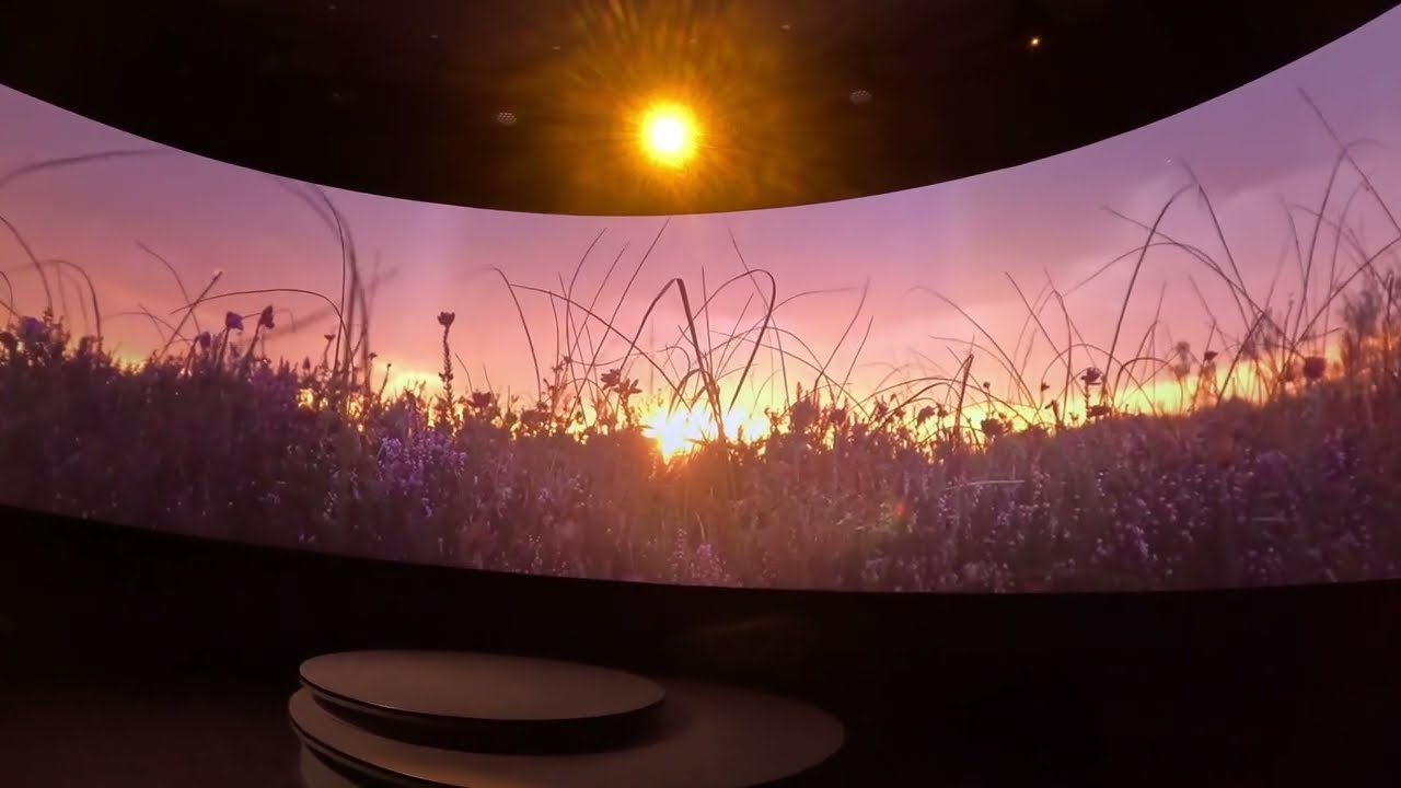 【万博】アイルランド館 Ireland Pavilion Expo 2025 Osaka, Kansai, Japan