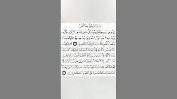 آخر آيتين من سورة البقرة بصوت الشيخ سعد الغامدي