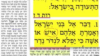 דף יומי מסכת נידה דף מו Daf yomi Niddah daf 46