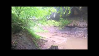 Water Flow In Stebbin's Gulch