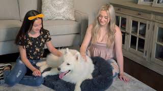 Plush Paws Pet Bed screenshot 3