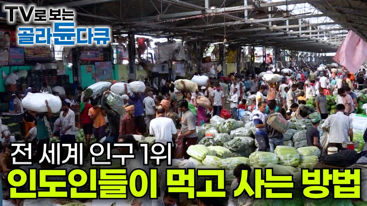 전 세계 GDP 5위 세계에서 가장 인구가 많은 곳 인도. 24시 인도인들 따라다녀보니ㅣ 여행지 말고 그 들이 사는 진짜 삶을 들여다봤다ㅣ극한직업│