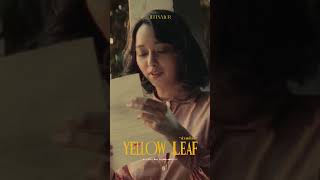 MV OUT NOW! "Jeff Satur - ส่วนน้อย (Yellow Leaf)" #JeffSatur #YellowLeafMVJeffSatur