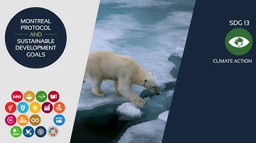 Montreal Protocol and  the SDGs